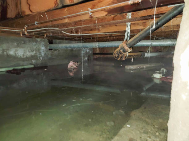 Best Fire Damage Restoration  in Urbana, IL