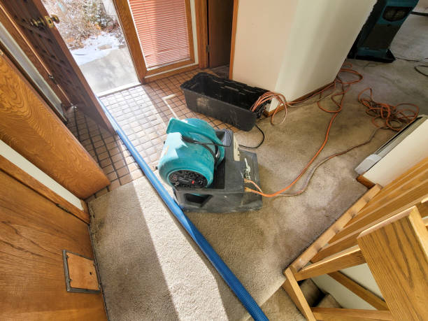 Best Water damage restoration near me  in Urbana, IL