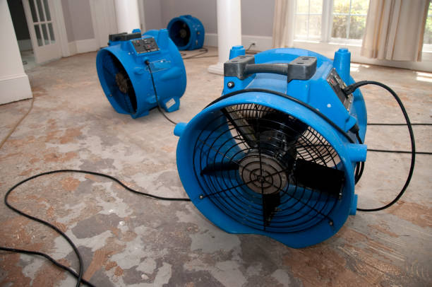 Best Fire Damage Restoration  in Urbana, IL