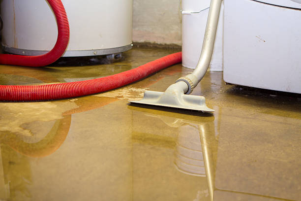 Best Local water damage restoration  in Urbana, IL