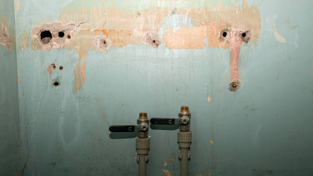 Best Flooded house restoration  in Urbana, IL