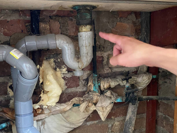 Best Ceiling water damage repair  in Urbana, IL