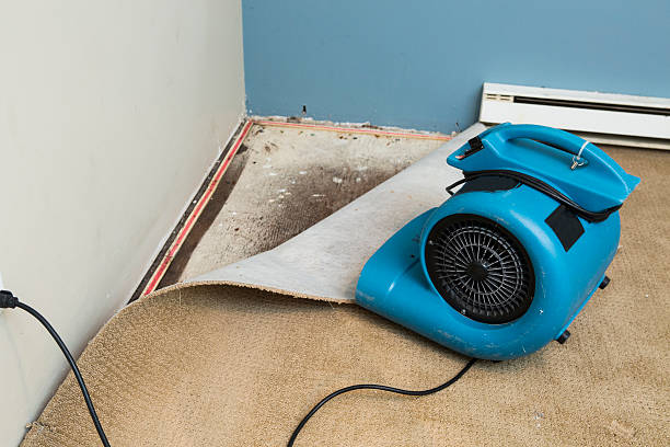 Best Water damage contractors near me  in Urbana, IL